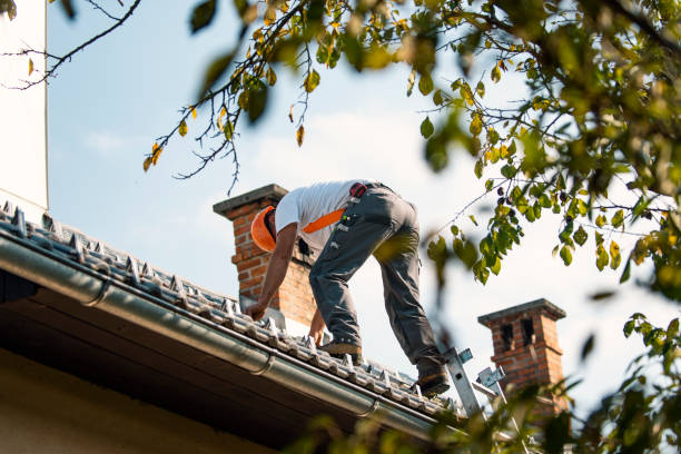 Best Best Roofing Contractors  in Blue Grass, IA