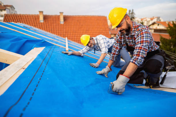 Best Emergency Roof Repair  in Blue Grass, IA