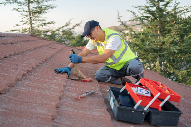 Best New Roof Installation  in Blue Grass, IA