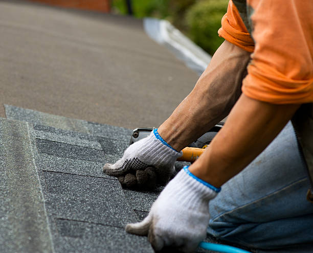 Best Local Roofing Companies  in Blue Grass, IA