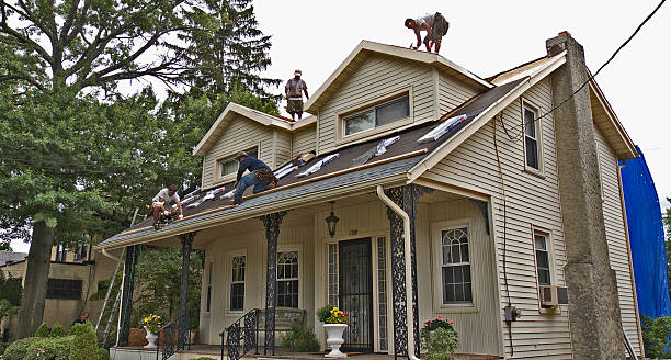 Best Emergency Roof Repair  in Blue Grass, IA