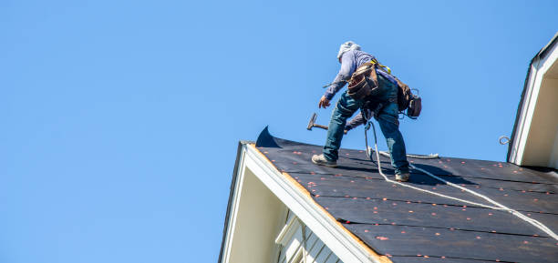 Best Roof Maintenance Services  in Blue Grass, IA